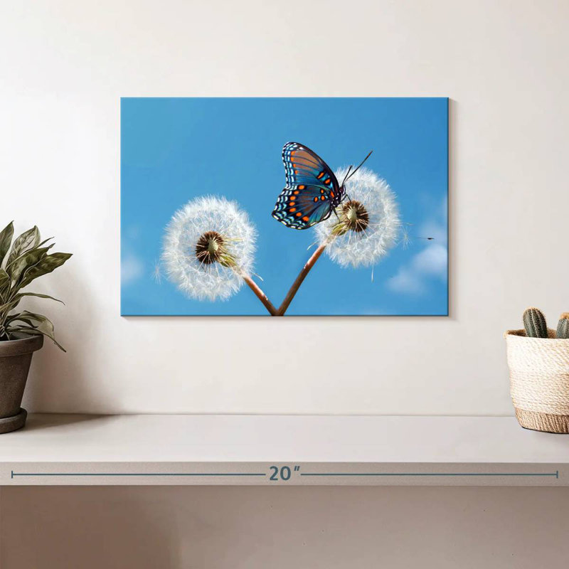 Brampt Butterfly On Dandelion