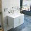 Meuble-lavabo mural avec portes doubles-1479257609