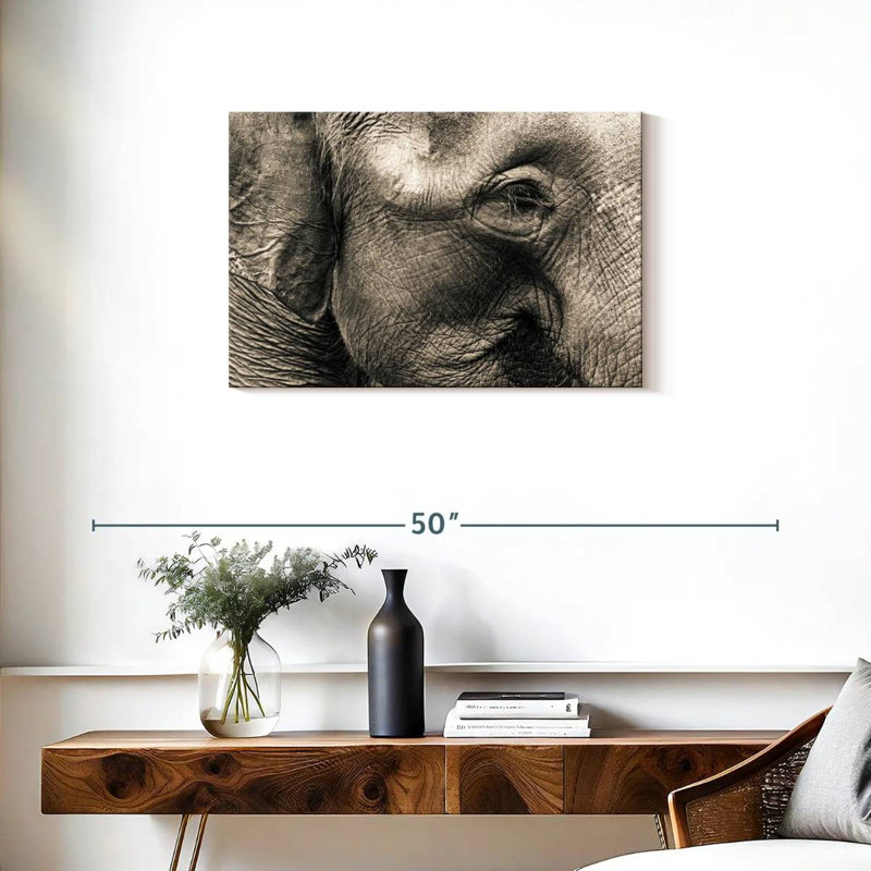 Brampt Wrinkled Elephant Face, 20" H x 30" W