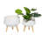 Annora Pot Planter-2072776834