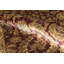 Suruchi Wool Oriental Area Rug