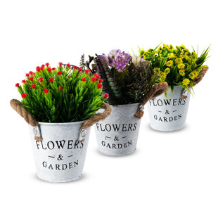 18cm Flowering Plant