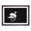 Swan - Picture Frame Painting Print-56705899-56705897