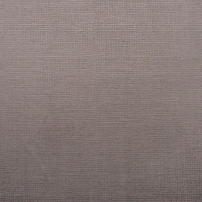 Allure Fabric