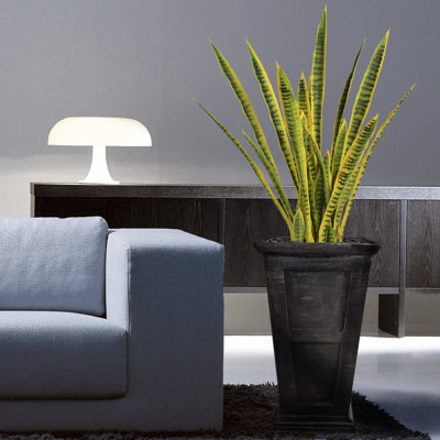 Aislin 62.8" Artificial Snake Plant in Planter