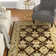 Balthrop Hand Tufted Wool Rug