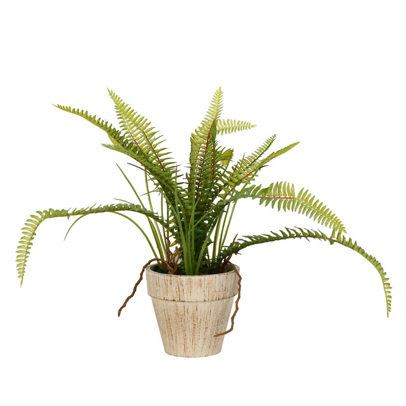 Agencements de fleurs en pot