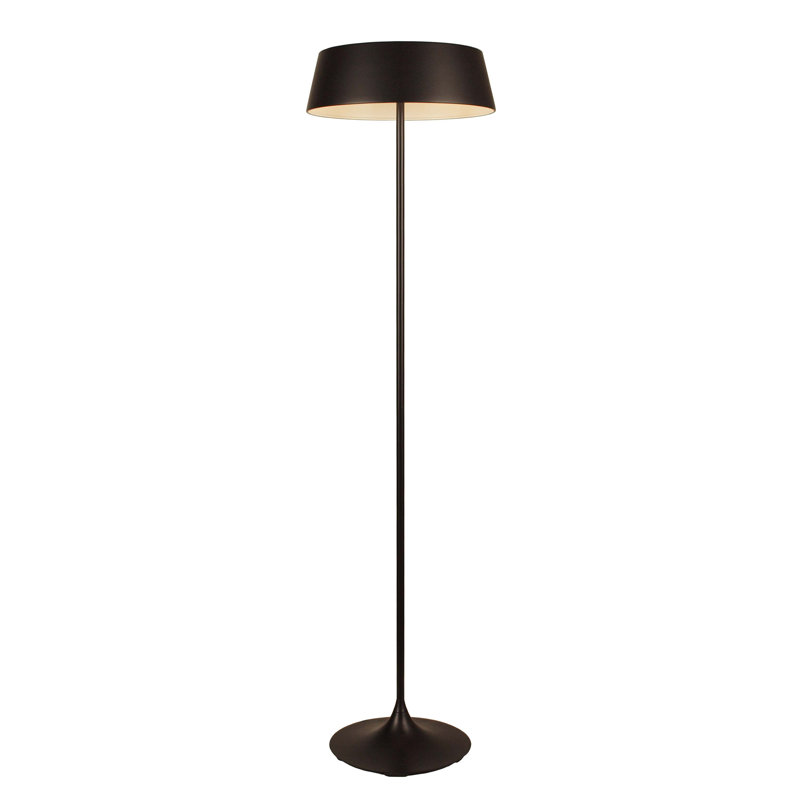 China Floor Lamp