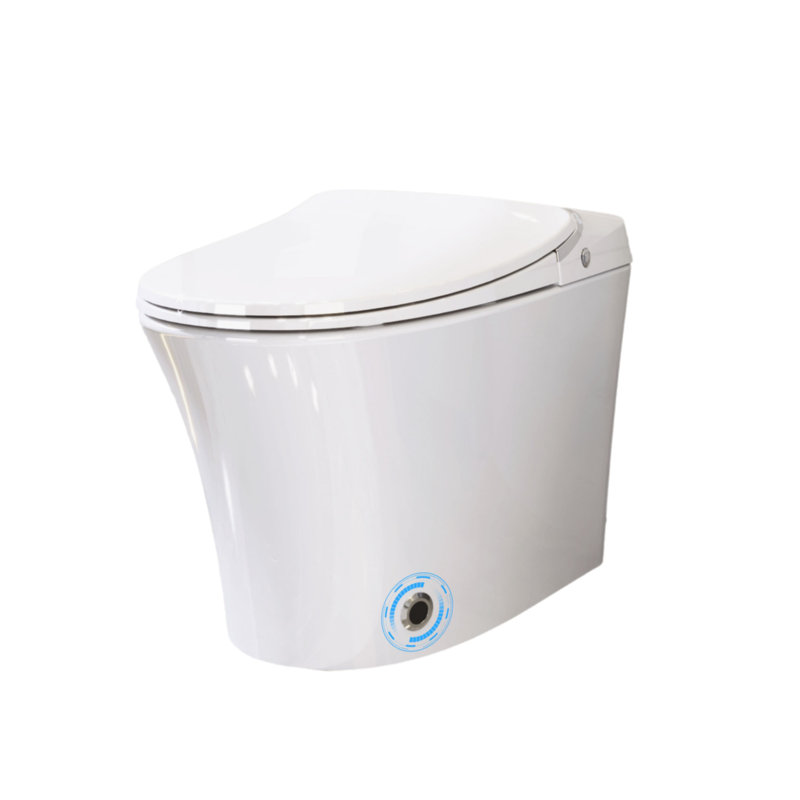Luxury Smart Toilet With Dryer And Warm Water Function White