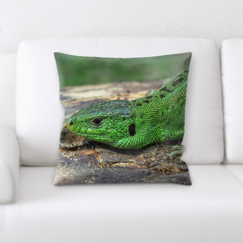 Coussin lézard sable