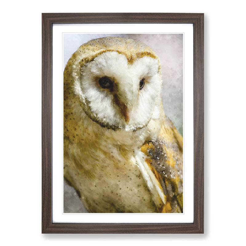 Barn Owl Vol.2 - Picture Frame Painting, Walnut Framed, 65cm H x 48cm W x 2cm D
