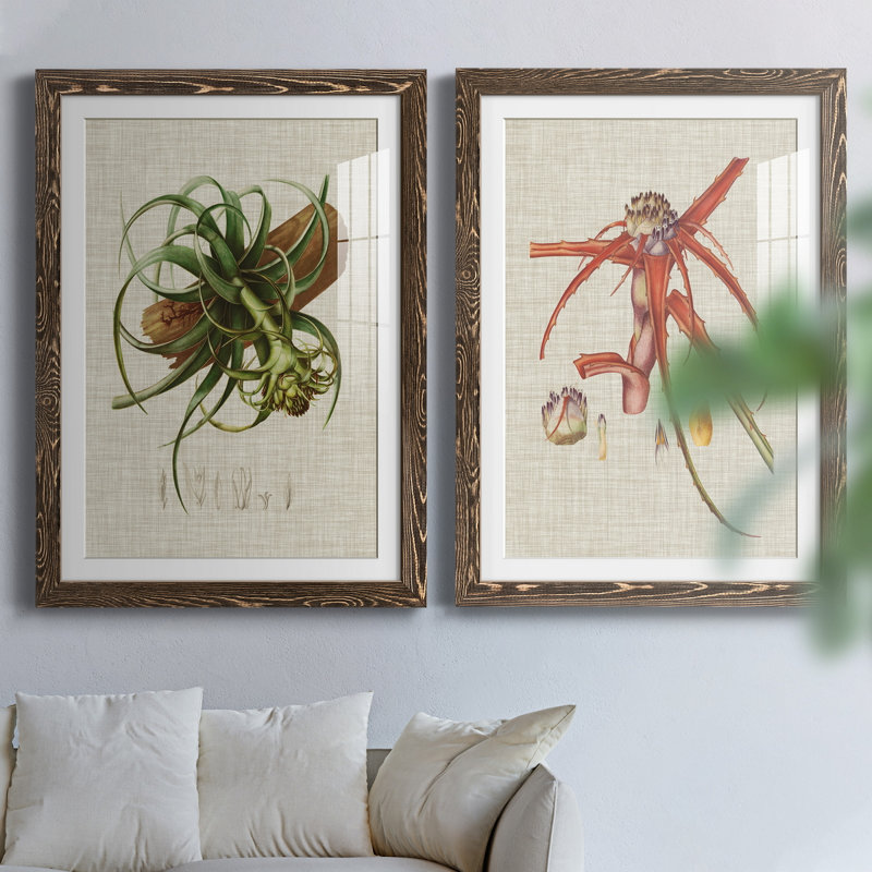 Toile encadrée Elegant Tropicals, H 43,5 po x l 31,5 po x P 1 po, Papier, cadre noyer, Blanc