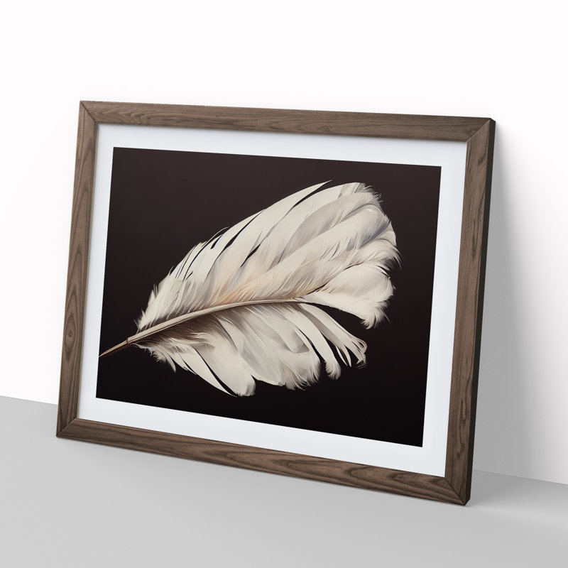 Bird Feather - Single Picture Frame Print, 46cm H x 64cm W x 2cm D, Walnut Framed