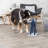 TRIXIE Mad Scientist Turn Around Strategy Game, Intermediate Dog Puzzle Toy, Level 2 Activity