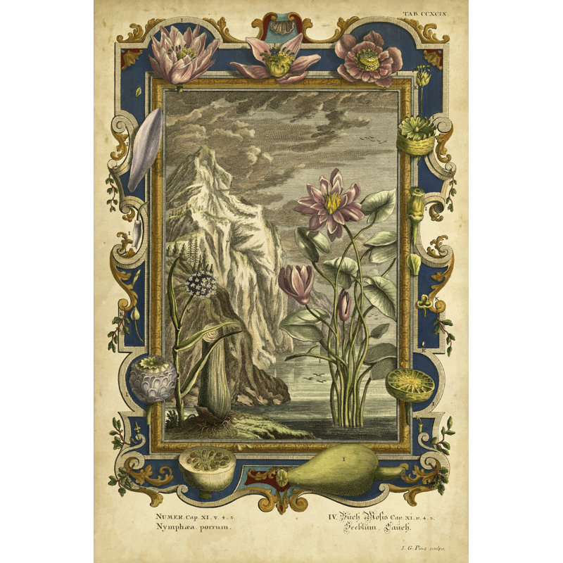 Genesis Fruits III - Wrapped Canvas Print, 46cm H x 30cm W x 3.8cm D