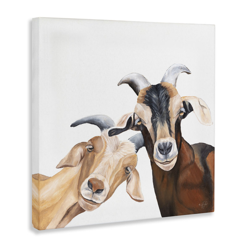 «Happy Goat Sourire animaux», art mural sur toile par Diane Fifer, H 17 po x l 17 po x P 1,5 po