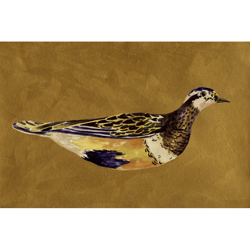 Feathered Friend II by Melissa Wang - Wrapped Canvas Painting, 30cm H x 46cm W