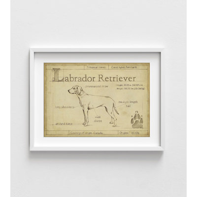 Alay Labrador Retriever Poster Print, Framed Doggo Wall Art, Large Doggo Wall Decor, Vintage Pet Print, Retro Pet Poster, Framed Wall Art