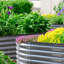 Lit de jardin surélevé Roede-881603631-929403018