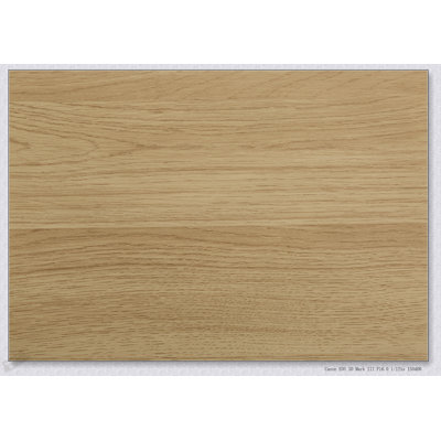 Console étroite moderne avec base en métal durable et plateau en stratifié naturel pour le vestibule ou le canapé