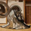  Tapis lavable Northern Goshawk Birds-292473739