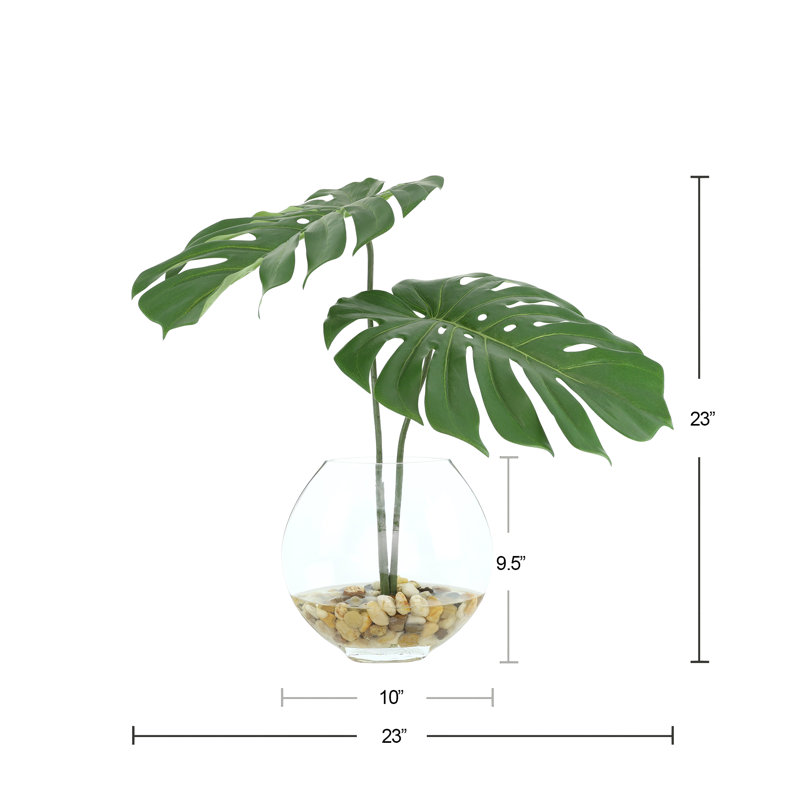 Split Philodendron Leaves In Glass Vase