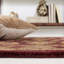 Oriental Hand-Tufted Wool Wine/Gold Area Rug-14541202