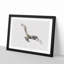 Osprey Bird - Framed Print-56915083-56915084