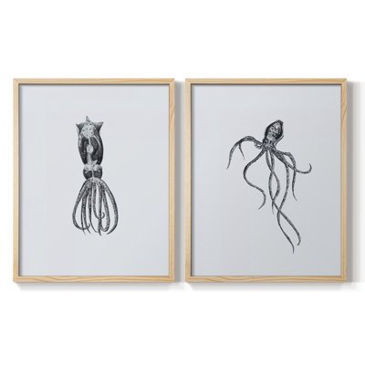 MarineLife III - reproduction encadrée de qualité supérieure - prête à être accrochée - aucun clou requis - aucun clou requis