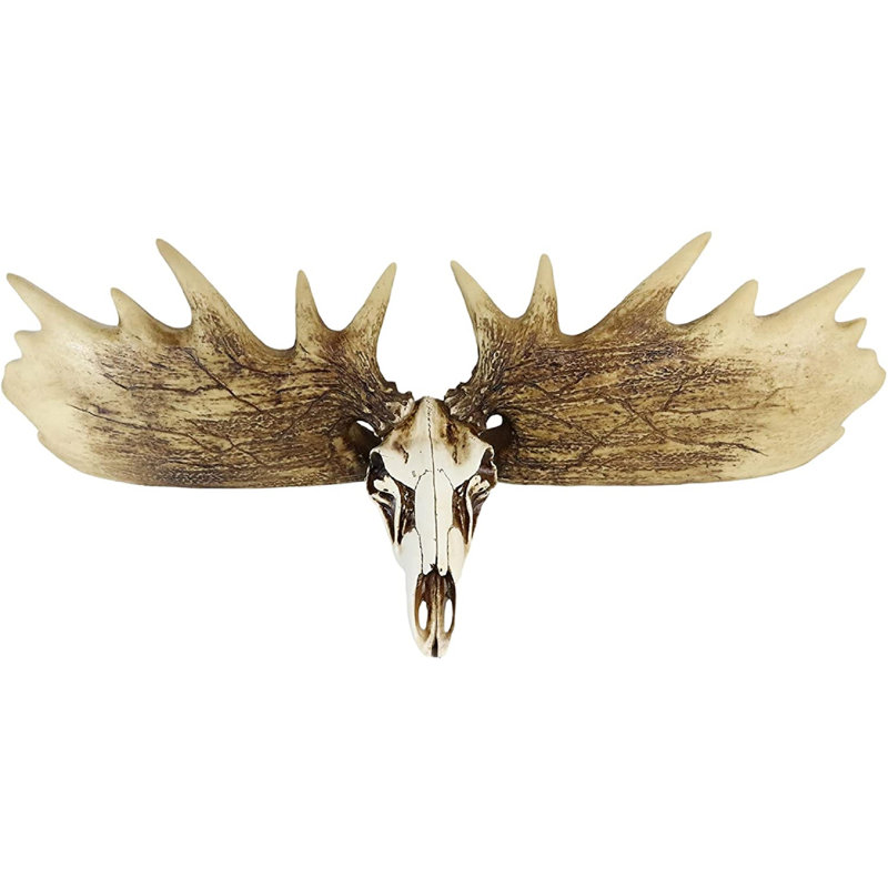 Ayven Animals Bust