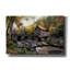  «Glade Creek Mill» par Danny Head, art mural sur toile, 40 po x 26 po