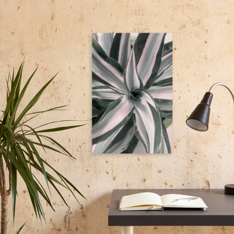 Rayures, photographie florale et botanique, art numérique, art abstrait, contemporain, H 24 po x l 16 po