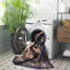 Tapis Sanchi-1668190299