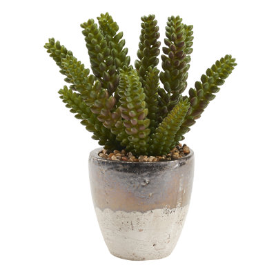 11 " H Faux Succulent in Ceramic Planter