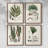 Bold Shape Shift II Framed Print - Set of 4-1251737016-1251737021