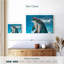 Dauphins excités-107880927