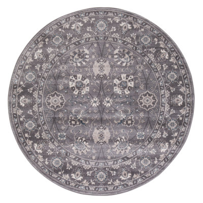 Oriental Indoor Rug