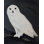 «Snow Owl» par Ed Capeau - reproduction d'art