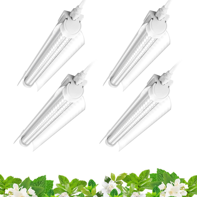 Barrina T8 Grow Lights For Plants d'intérieur, bande de lumière blanche à spectre complet 5000k, 60 W, 1 pied de plante, 4 paquets