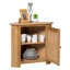 Farris Solid Wood 1 - Door Rectangle Accent Cabinet