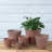 Carrero Pot Planter-579612686-579612682