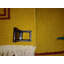 Palila Area Rug in Yellow