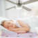 Ebern Designs 52”Modern Ceiling Fan With Light And Remote Control
