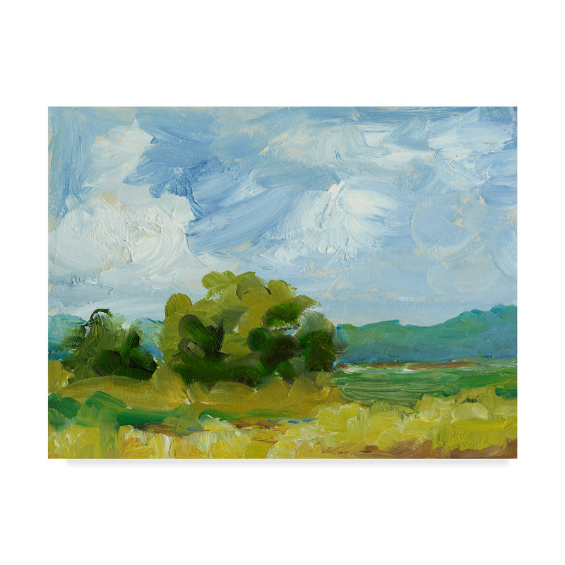 « field color study i », impression sur toile tendue, H 35 po x l 47 po x P 2 po