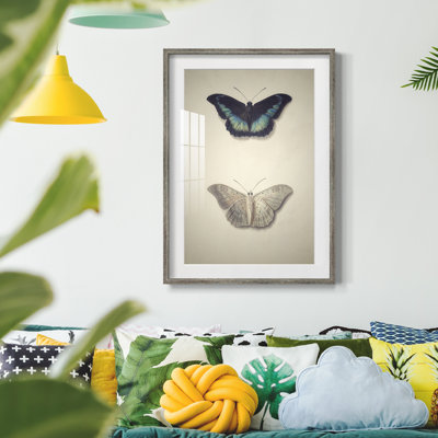 «Vintage Animal Print» - imprimé encadré