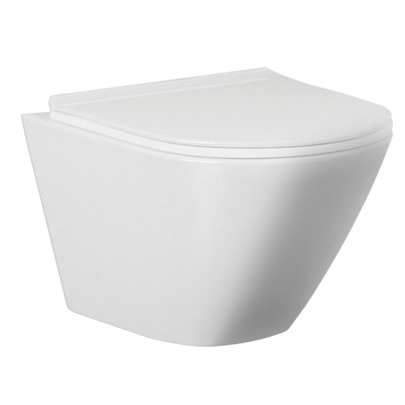 Ivy Bronx Danar 1.68L LPF Round Wall Mounted Wall Hung Toilets (Seat Included), White