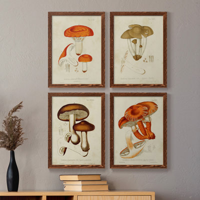 Champignon Variétés Ix - ensemble de 4 reproductions d'art sur toile encadrées