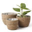 Abryella Handmade Pot Planter