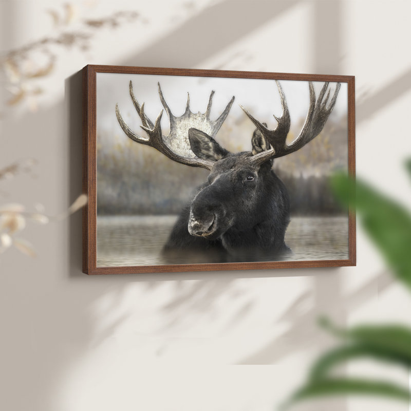 Moose Spa - reproduction encadrée - réarmable, H 11 po x l 14 po, Noyer
