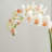 Light Pink Orchid 16" Mini Garden Drop-In